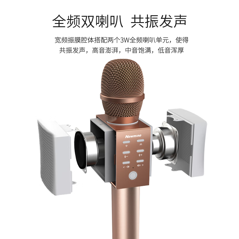 Newmine MC10 Wireless Microphone, Karaoke Microphone and Audio All-in-one Comes with Sound Card, Radio Microphone, Little Bee Amplifier Explainer, Bluetooth Singing Entertainment Artifact, Rose Gold