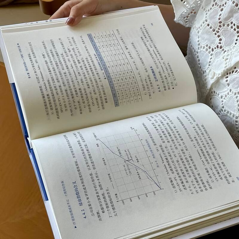 Growth Notes of an IT Project Manager 10th Anniversary Edition Hardcover by Pan Dong and Han Qiuquan