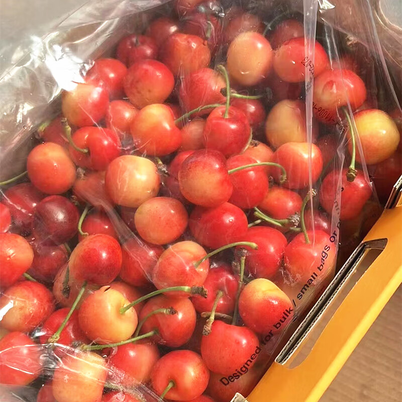 Chile imported golden cherries JJJJ Rainier yellow cherries fresh high-end fruit gift box 500g (net weight) 4J level Big Mac-selected gift box