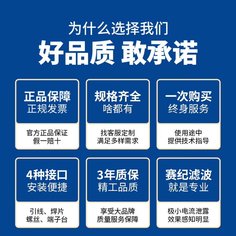 Saiji SJ4L2 power filter 220V AC emi rail double section anti-interference power purifier SJ4L2-15A-SR (with rails on the side)