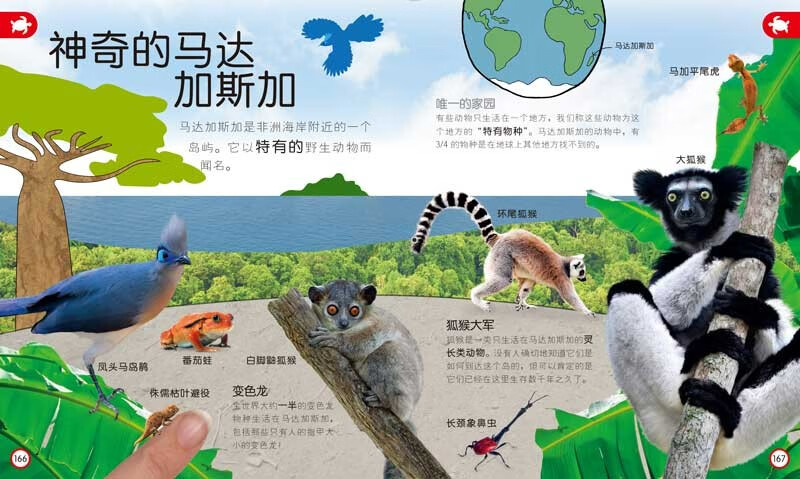 DK Children's Encyclopedia Those Important Animals Enlightenment Cognition for 3-6 Year Old Babies Children's Animal Picture Book Preparation for Young Children's Connection Knowledge Picture Book