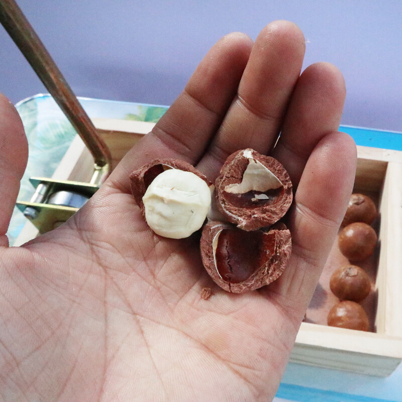 Nut opener artifact walnut macadamia nut fresh raw macadamia nut clip shell opener fruit opener clip new upgraded version adjustable size (yellow model)