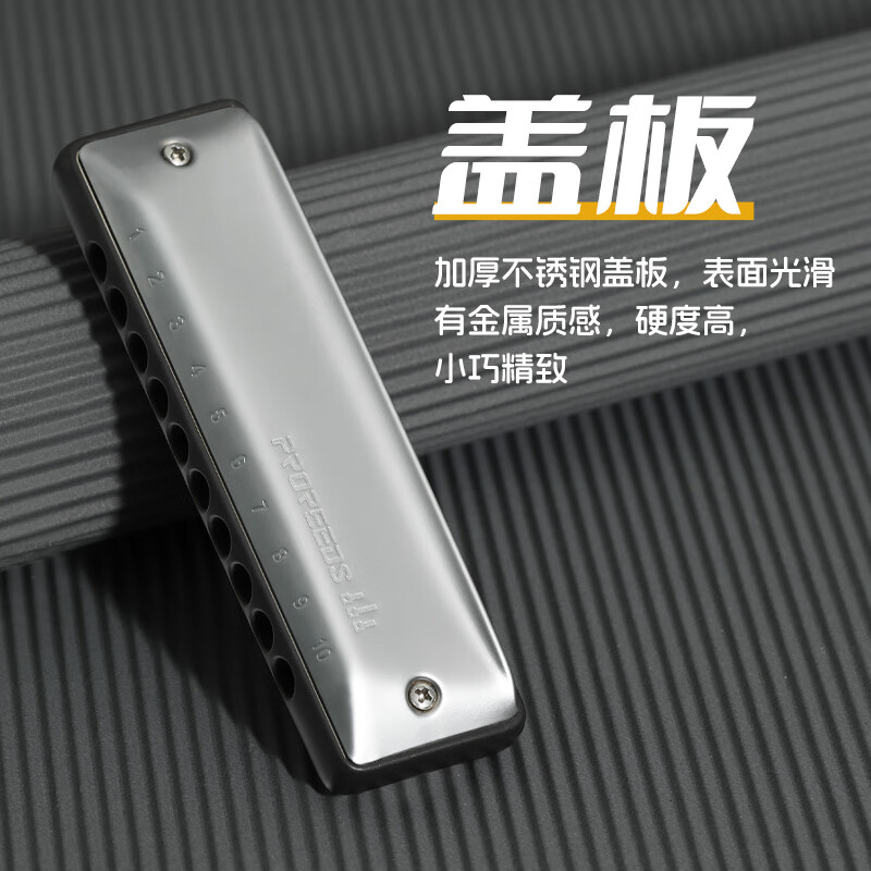 BoogieMAN Yuanyuan's same model ProReeds ten-hole harmonica paddy blues for adults and children beginners
