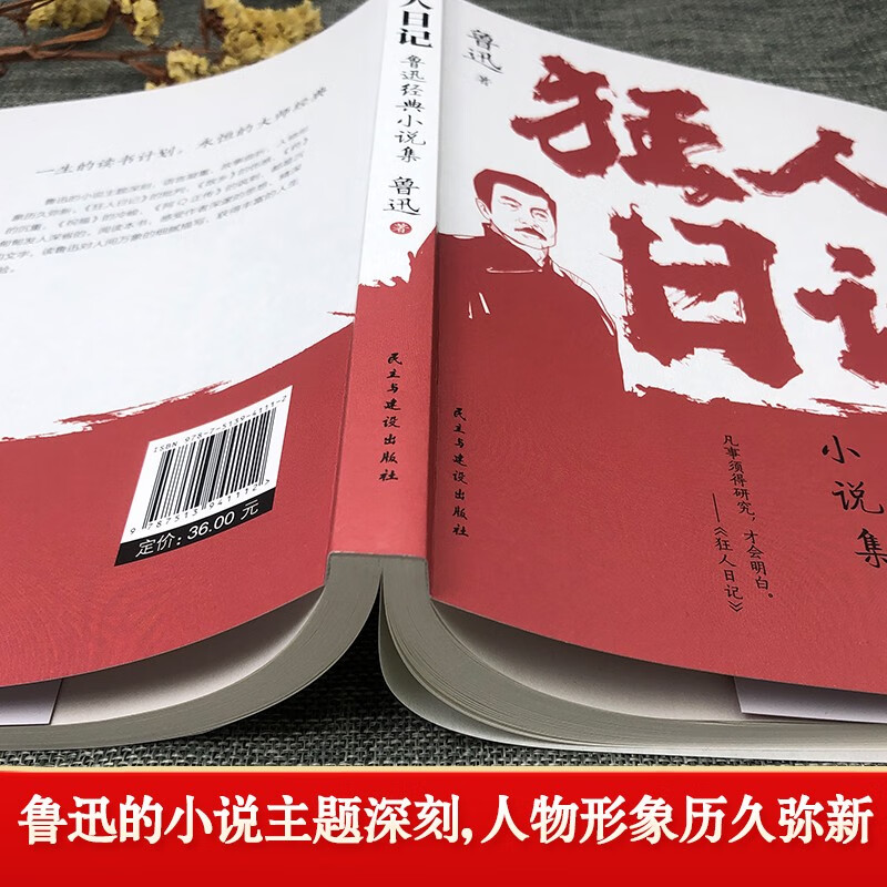 Diary of a Madman, Lu Xun's classic novel collection, Chinese textbooks, classic literature extracurricular reading, modern literary novels, prose collection, youth prose essays, novels