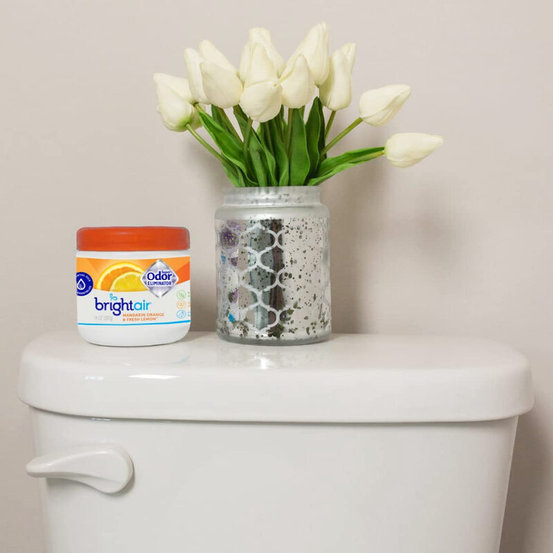 Bright AirAir Bright AIR solid air freshener & odor eliminator