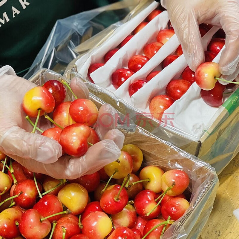 Gold cherries cherry yellow cherries fresh Rainier crystal seasonal high-end fruit gift box 1000g (net weight) extra large fruit 4jjjj grade gift box
