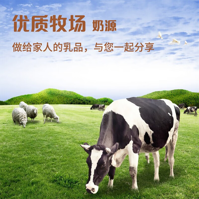 Yili Miaoqu Xiaoxue Raw Milk Chocolate Ice Cream 65g*6