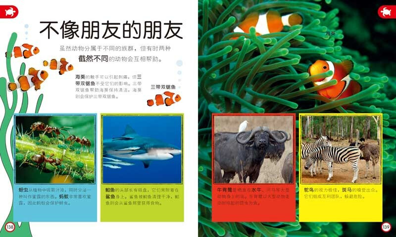 DK Children's Encyclopedia Those Important Animals Enlightenment Cognition for 3-6 Year Old Babies Children's Animal Picture Book Preparation for Young Children's Connection Knowledge Picture Book