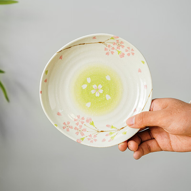 Mino Yaki Japan imported household ceramic bowl set simple dinner plate Japanese tableware fruit plate dish 10-piece set