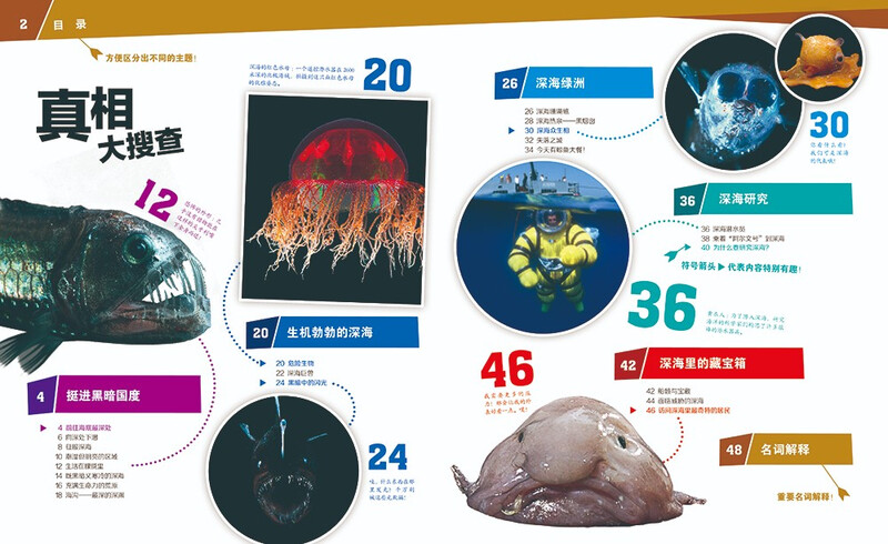 German Children's Encyclopedia of Knowledge Volume 2 The Mystery of the Deep Sea Debai Hardcover Collector's Edition What is Wasistwas Encyclopedia 7-10 Years Old First Grade Second Grade Primary School Children's Encyclopedia of Popular Science Science Knowledge Extracurricular Reading Books