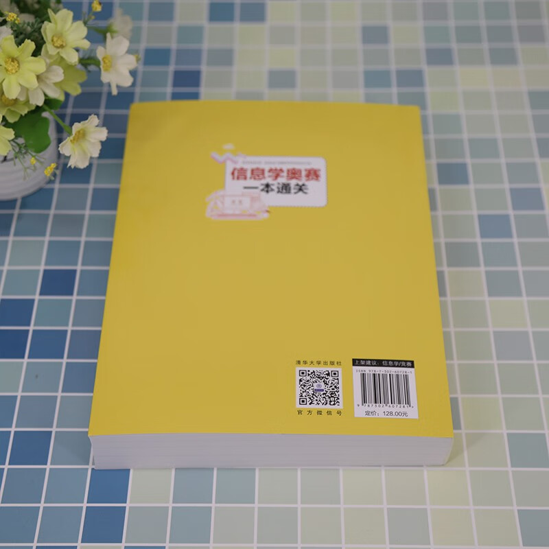 Informatics Olympiad in one book