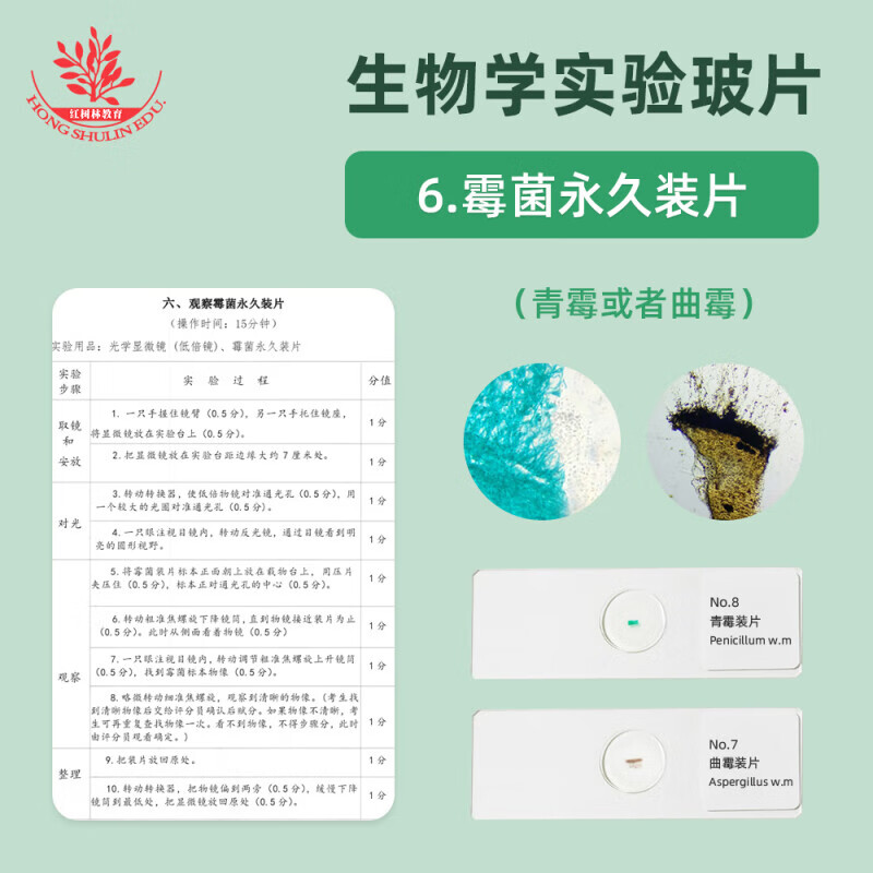 Junior high school biology synchronous teaching experiment observation slide specimen is clear and easy to observe mold slide human blood smear human blood smear onion scale leaf epidermis mount