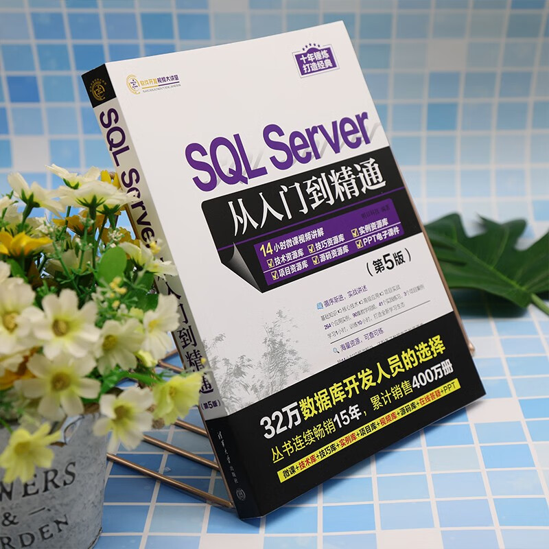 SQL Server from Beginner to Master (5th Edition)/Software Development Video Lecture