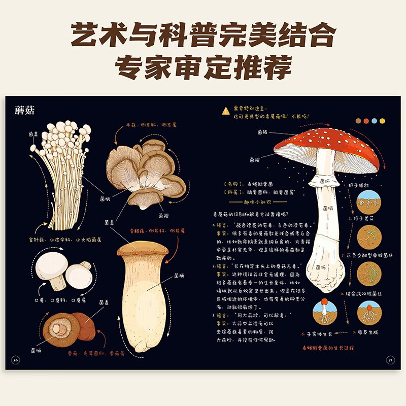 Xiao Che Mama's Fruit and Vegetable Observation Notes for Children (Fruits + Vegetables 2-volume set) is original and high-quality. The book comes with 62 coloring line drawings + 2 large and exquisite posters!