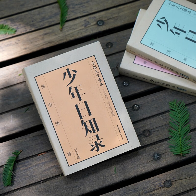 Juvenile Daily Record (set of 3 volumes) Fu Guoyong's humanities enlightenment book for all Chinese teenagers, suitable for every Chinese teenager's desk. Qianxun Youth