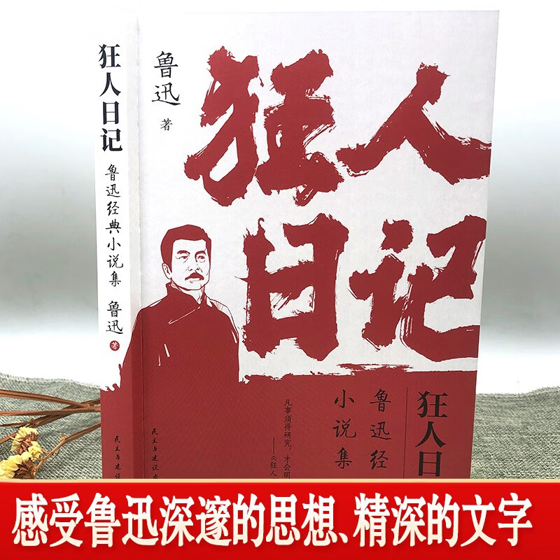 Diary of a Madman, Lu Xun's classic novel collection, Chinese textbooks, classic literature extracurricular reading, modern literary novels, prose collection, youth prose essays, novels