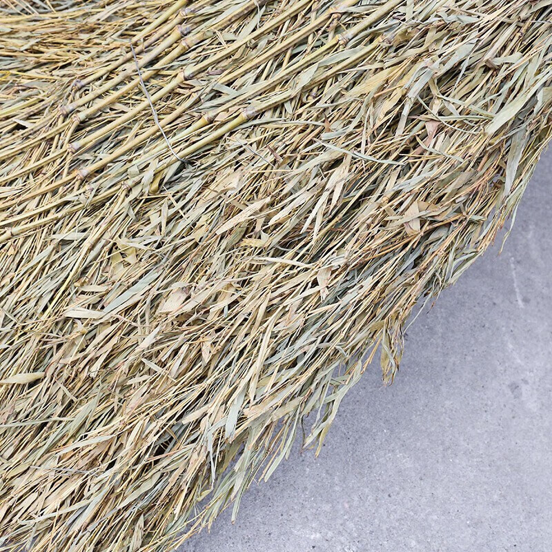 Lingxiang Sanitation Broom Broom Broom Street Sweeping Bamboo Broom Bamboo Broom Large Broom Broom High 1.7 Meters Bamboo Style