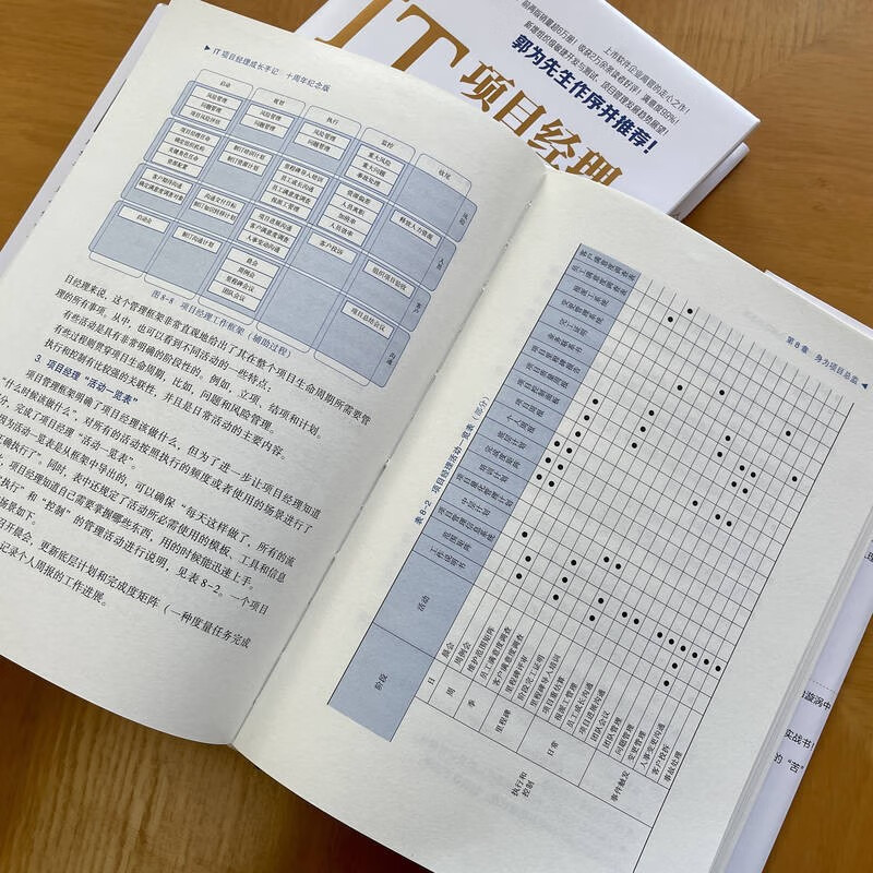 Growth Notes of an IT Project Manager 10th Anniversary Edition Hardcover by Pan Dong and Han Qiuquan