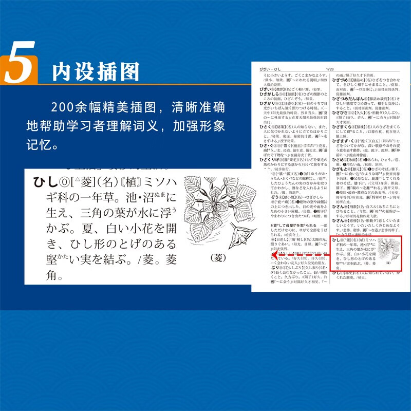 FLTRP Japanese-Chinese Learning Dictionary (Second Edition) Wangwenshe Standard Mandarin Dictionary Japanese Dictionary Self-study Japanese Tool Book