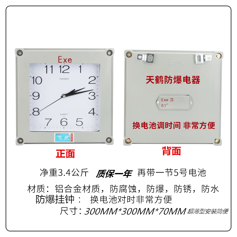 Tianhe explosion-proof quartz clock explosion-proof wall clock explosion-proof box clock electronic clock digital clock hazardous area ordinary movement 12 inches