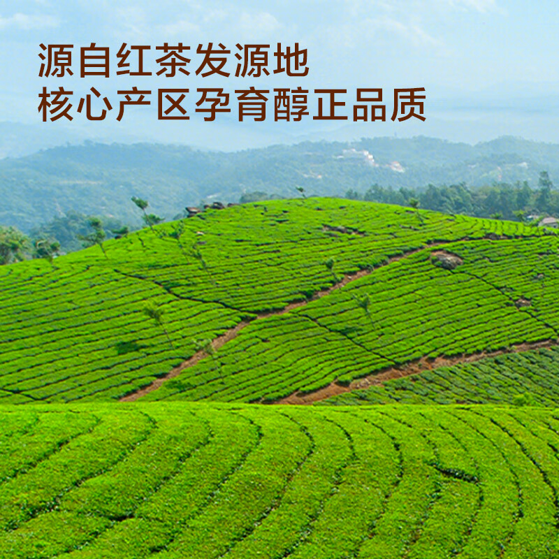 Made in Tokyo, Alpine Jinjunmei 250g canned Wuyishan original black tea, honey-flavored tea, self-drinking New Year's gift for elders