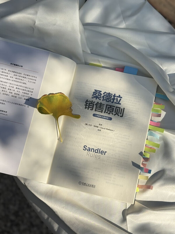 Sandra's Sales Principles Chinese Local Case Version 49 Epoch-making Sales Principles Sales Sales Management Marketing