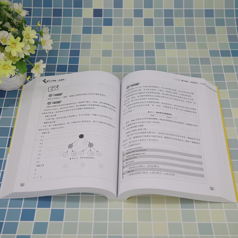 Informatics Olympiad in one book