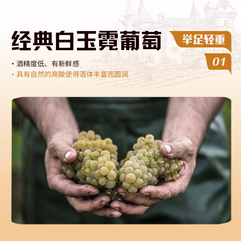 LOUIS BRANDON foreign liquor whiskey XO brandy 40 degrees 500ml*2 spirits mixer base liquor square bottle combination package New Year's gift