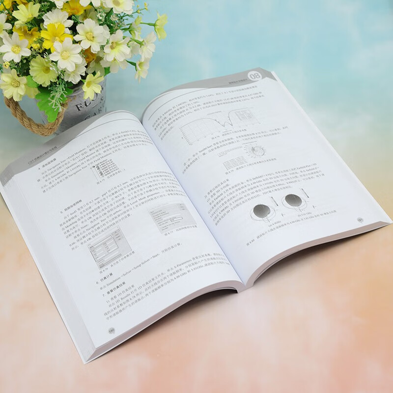 CST simulation design theory and practice