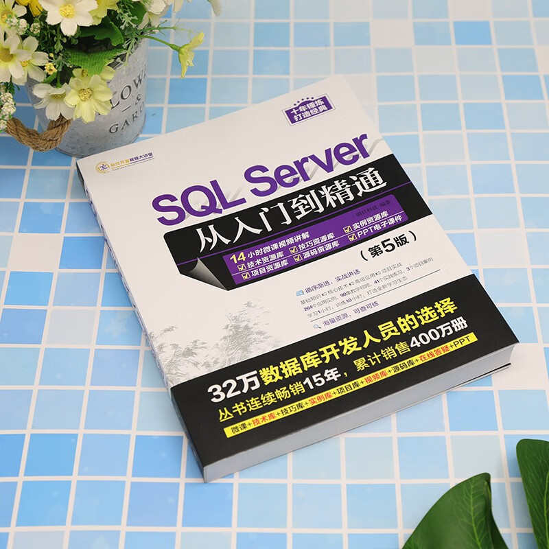 SQL Server from Beginner to Master (5th Edition)/Software Development Video Lecture