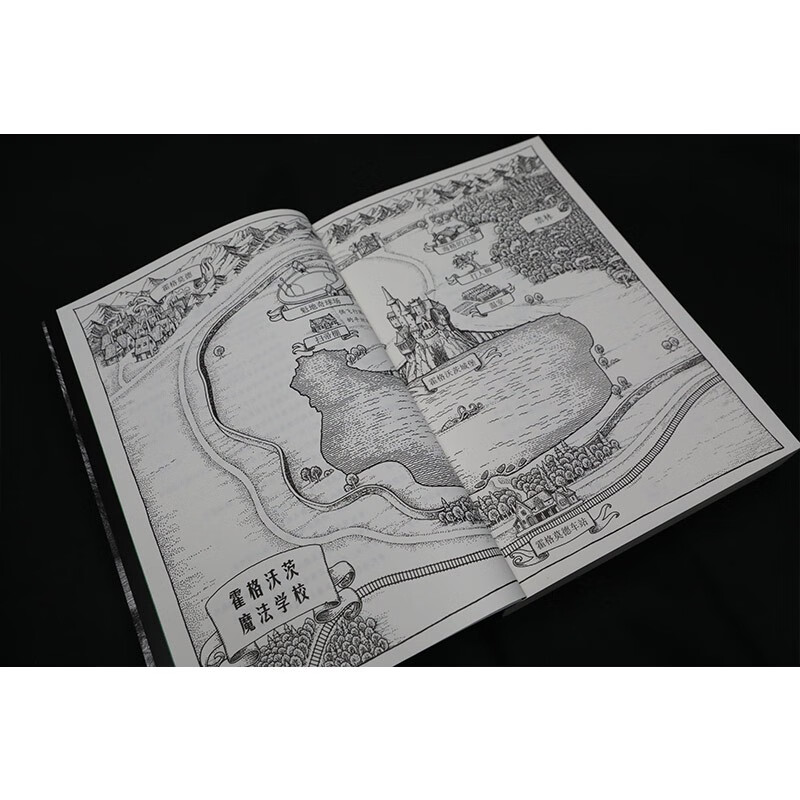 Harry Potter and the Order of the Phoenix Extracurricular Reading Reading Children's Books JD.com Self-operated People's Literature Publishing House Black Friday