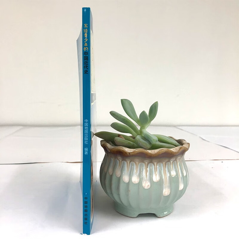 Modern Chinese history for teenagers