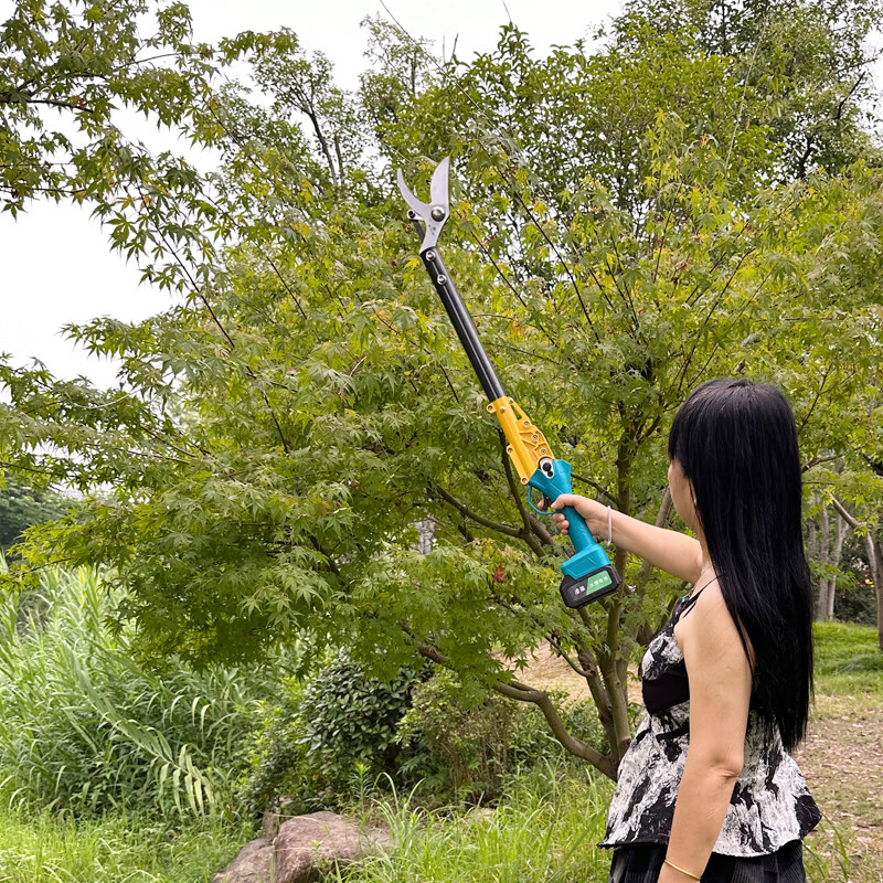 Jiehong's new brushless gardening lithium-ion rechargeable electric shears for pruning branches, pruning shears, fruit tree shears, electric agricultural tools, pruning shears/fruit picking shears + carrying battery for longer lasting