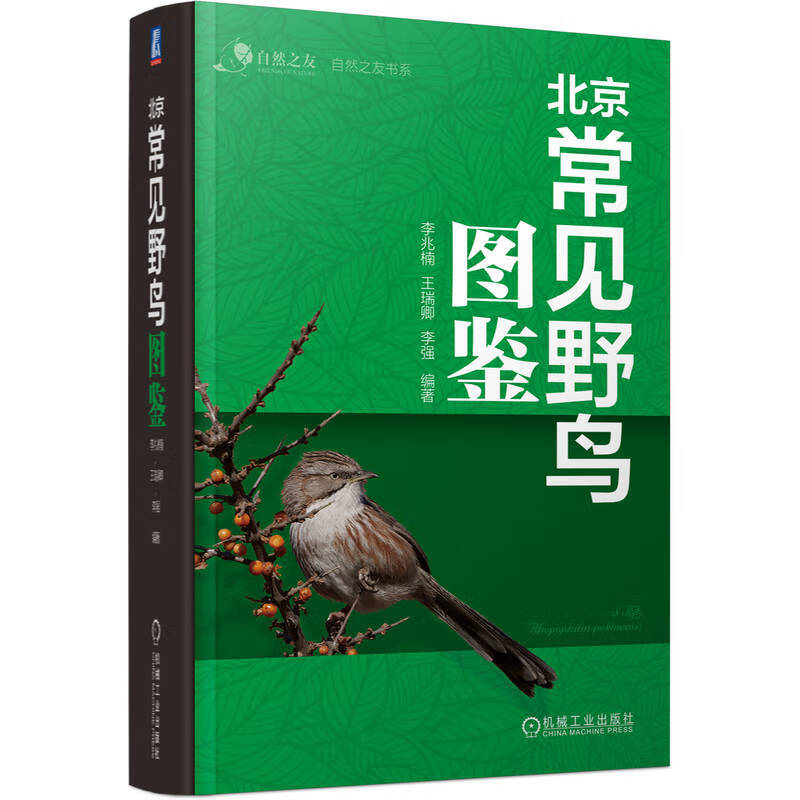 Illustrated guide of common wild birds in Beijing