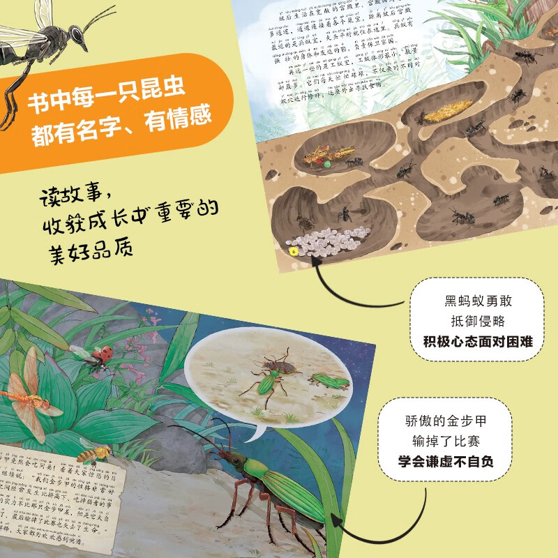 Fabre's Notes on Insects for Children (set of 10 volumes in total, painted phonetic version) children's popular science book picture book