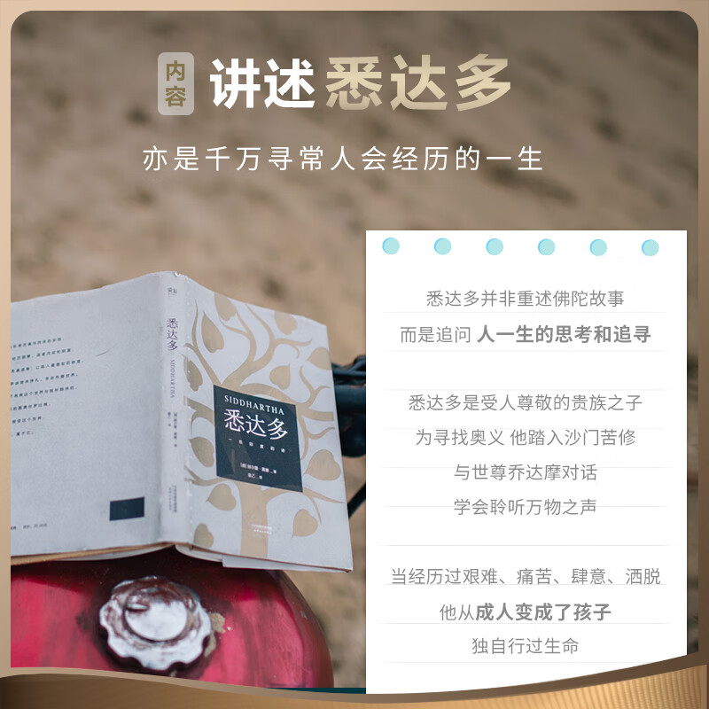 Dangdang Genuine Free Shipping Collection of Hesse's Works Siddhartha Klingsor's Last Summer Steppenwolf etc. Siddhartha Jiang Yi's translation