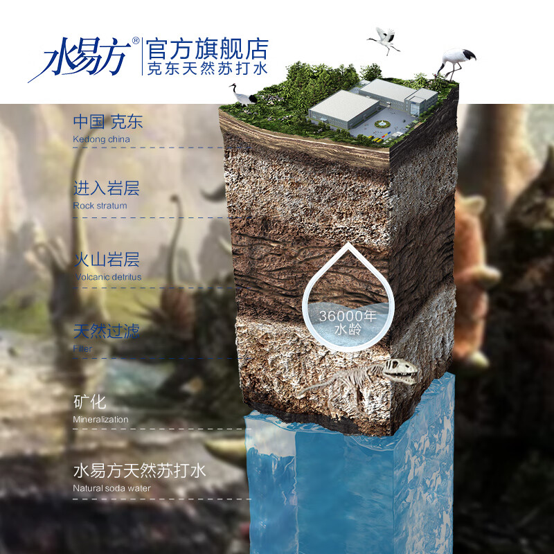 Shui Yifang (SYF) Shui Yifang soda pop 330ml*24 cans full box