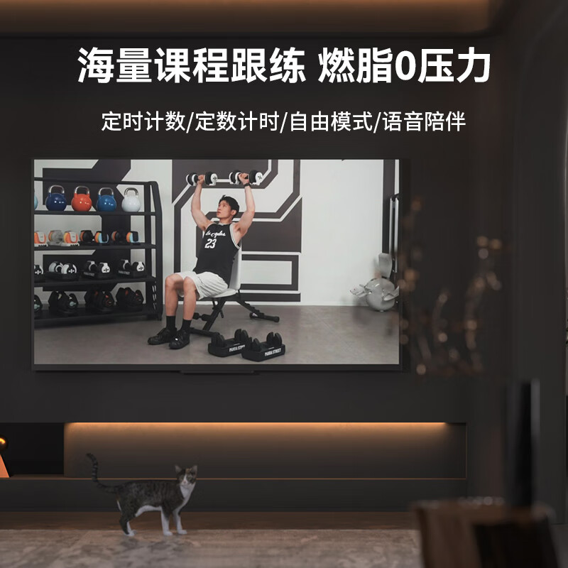 HEAD adjustable dumbbell unisex home fitness equipment pure steel quick-adjustable detachable set 11kg*2