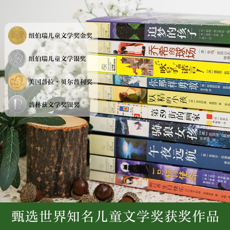 10 selected volumes of the Ivy League International Award novels: A Cat’s Mission, Children Chasing Dreams, You Are So Brave, etc. A must-read for elementary and middle school students in grades 3, 4, 5, and 6. Extracurricular reading of International Children’s Literature Award classics that influence children’s lives. Children’s New Year’s Day gifts