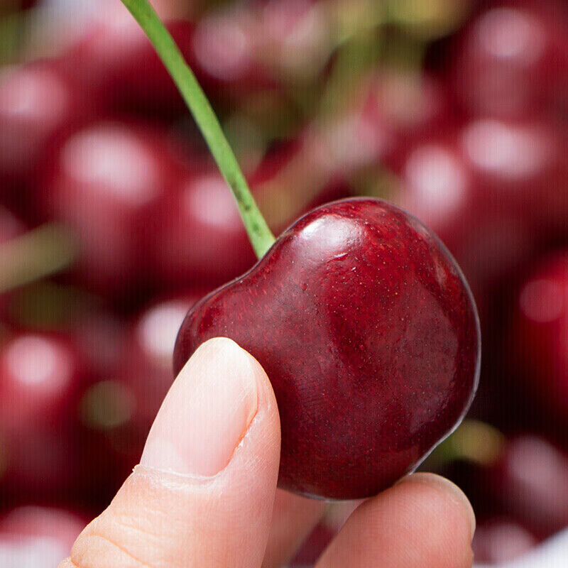 Detective Freshman imported large cherries from Chile, next-day delivery to multiple locations, fresh fruit optional gift box, 2000g (net weight), hand-selected fruit J 26-28mm, 5kg box, gift box