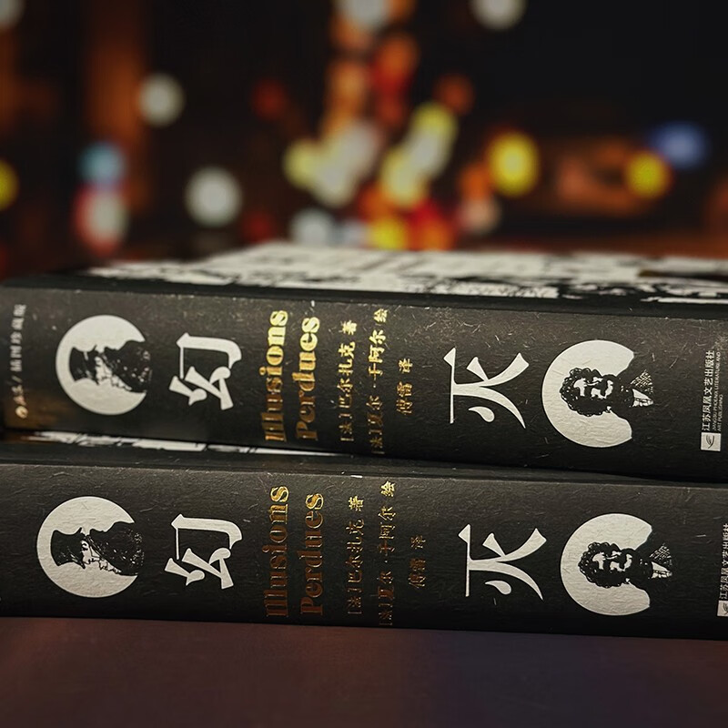 Disillusionment (Illustrated Collector's Edition) Novel