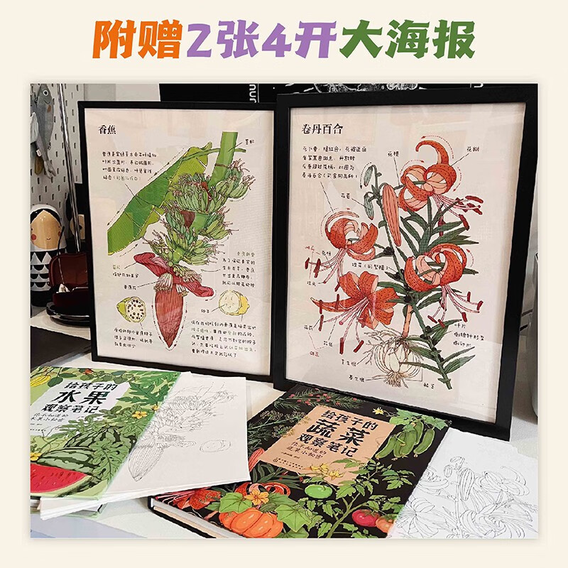 Xiao Che Mama's Fruit and Vegetable Observation Notes for Children (Fruits + Vegetables 2-volume set) is original and high-quality. The book comes with 62 coloring line drawings + 2 large and exquisite posters!