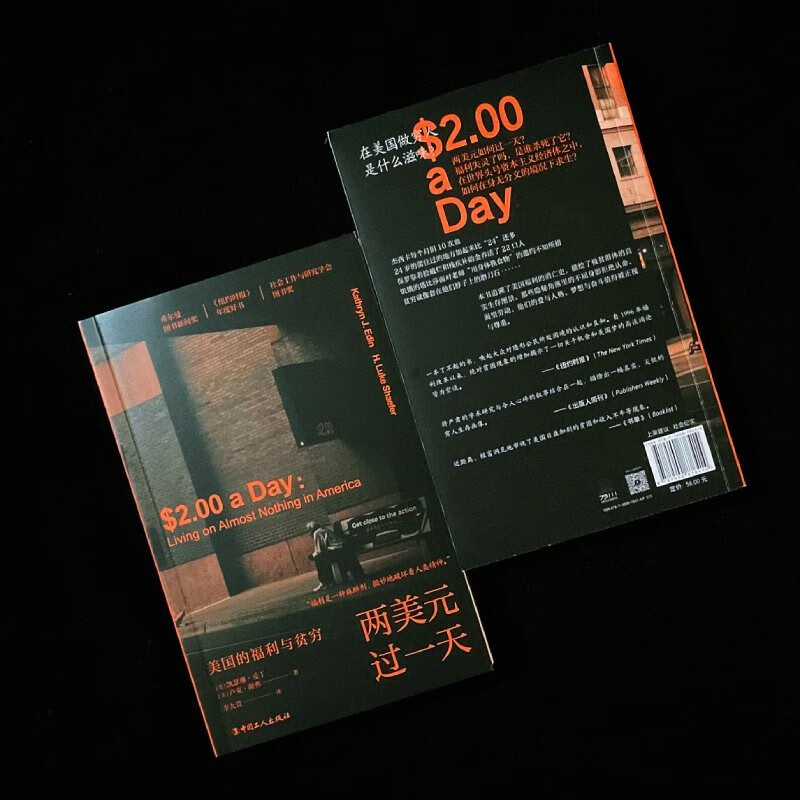 Two dollars a day: Welfare and poverty in the United States