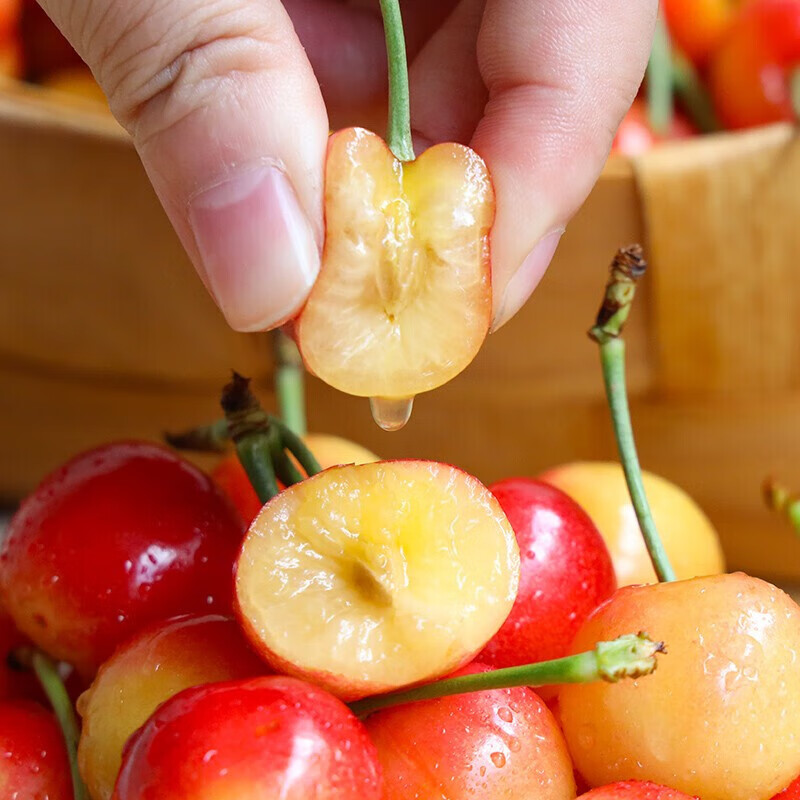 Gold cherries cherry yellow cherries fresh Rainier crystal seasonal high-end fruit gift box 1000g (net weight) extra large fruit 4jjjj grade gift box