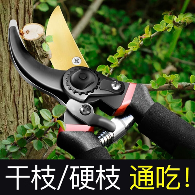 Pruning shears, gardening scissors, special scissors for cutting branches, garden pruning, fruit tree pruning, flower pruning shears A, anti-rust K5 blade)