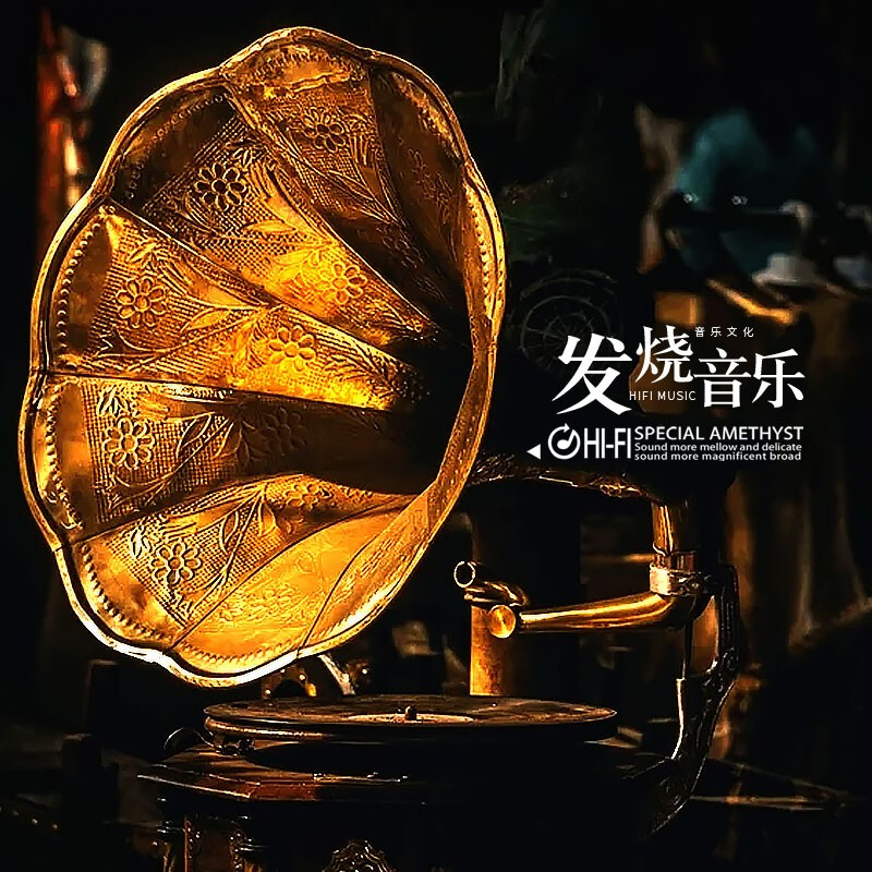 Genuine car CD disc Tianlai grassland songs Tibetan songs lossless high-quality vinyl records car discs