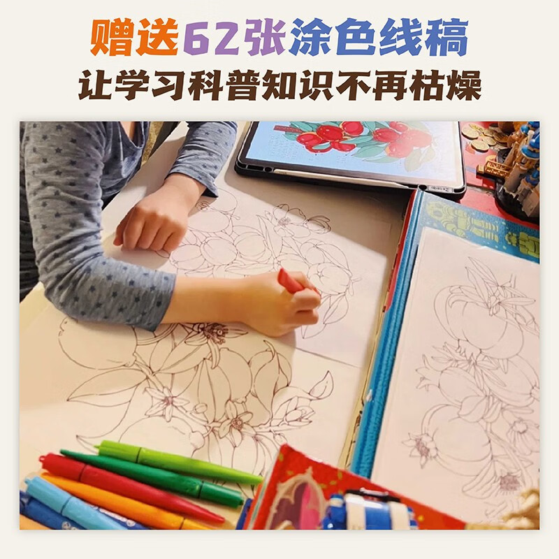 Xiao Che Mama's Fruit and Vegetable Observation Notes for Children (Fruits + Vegetables 2-volume set) is original and high-quality. The book comes with 62 coloring line drawings + 2 large and exquisite posters!