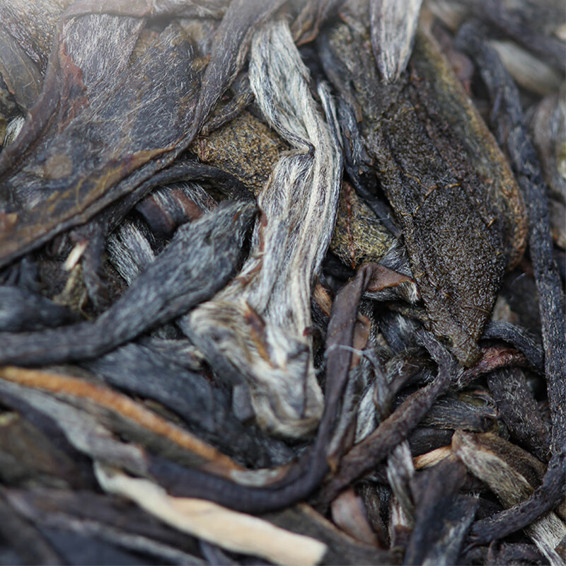 Tea Mo Stop Ignorant Year Pure Material Yiwu Pu'er Tea