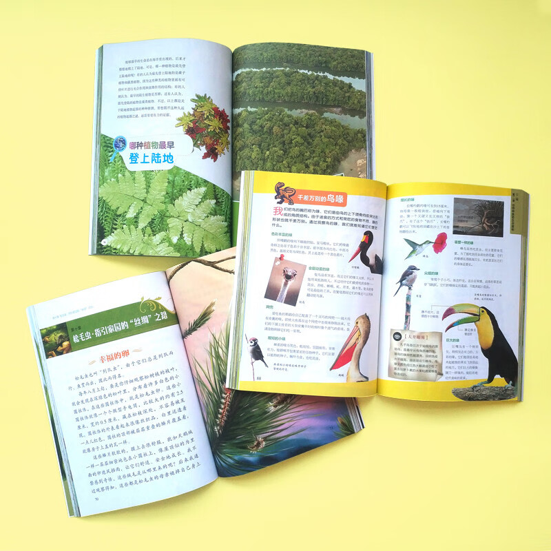 National Geographic Children's Encyclopedia (set of 12 volumes in total) summer reading, summer extracurricular books, extracurricular independent reading in summer, summer vacation readings, summer homework, summer transition from primary school to junior high school, summer transition from primary school to junior high school