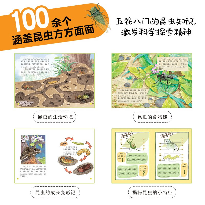 Fabre's Notes on Insects for Children (set of 10 volumes in total, painted phonetic version) children's popular science book picture book